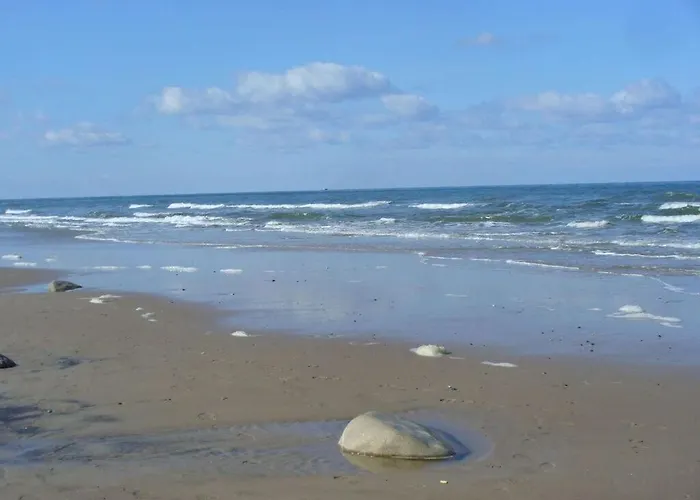 Windland 1 Comfortable غلوفي